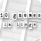 Igra 10 Gnomes in Liege