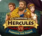 Igra 12 Labours of Hercules VII: Fleecing the Fleece