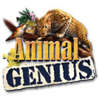 Igra Animal Genius
