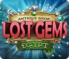 Igra Antique Shop: Lost Gems Egypt