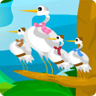 Igra Birds Of A Feather Igra Birds Of A Feather