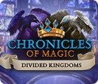 Igra Chronicles of Magic: The Divided Kingdoms