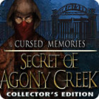 Igra Cursed Memories: The Secret of Agony Creek Collector's Edition