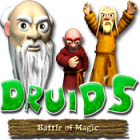 Igra Druid's Battle of Magic