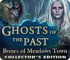 Igra Ghosts of the Past: Bones of Meadows Town Collector's Edition