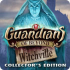 Igra Guardians of Beyond: Witchville Collector's Edition