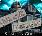 Igra Hidden in Time: Looking-glass Lane Strategy Guide