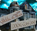 Igra Hidden in Time: Looking-glass Lane