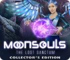 Igra Moonsouls: The Lost Sanctum Collector's Edition