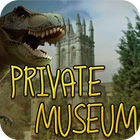 Igra Private Museum