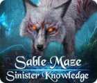 Igra Sable Maze: Sinister Knowledge Collector's Edition