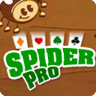 Igra Spider Pro