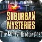 Igra Suburban Mysteries: The Labyrinth of The Past
