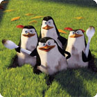 Igra The Penguins of Madagascar: Pollution Solution