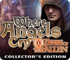 Igra Where Angels Cry: Tears of the Fallen. Collector's Edition