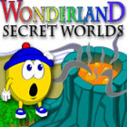Igra Wonderland Secret Worlds