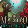 Igra Maestro: Notes of Life Collector's Edition