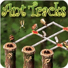 Igra Ant Tracks