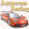 Igra Autocross Racing