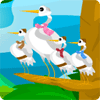 Igra Birds Of A Feather