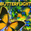 Igra Butterflight