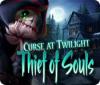 Igra Curse at Twilight: Thief of Souls