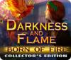 Igra Darkness and Flame: Born of Fire Collector's Edition