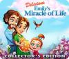 Igra Delicious: Emily's Miracle of Life Collector's Edition