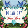 Igra Dream Day True Love