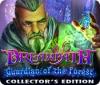 Igra Dreampath: Guardian of the Forest Collector's Edition