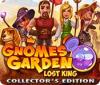Igra Gnomes Garden: Lost King Collector's Edition