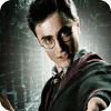 Igra Harry Potter: Fight the Death Eaters
