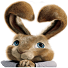 Igra Hop: Easter Bunny Coloring