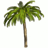 Igra Lost Island Adventure