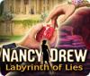 Igra Nancy Drew: Labyrinth of Lies