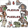 Igra Plexus Puzzles