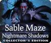Igra Sable Maze: Nightmare Shadows Collector's Edition
