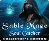 Igra Sable Maze: Soul Catcher Collector's Edition