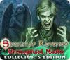 Igra Spirit of Revenge: Unrecognized Master Collector's Edition