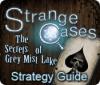 Igra Strange Cases: The Secrets of Grey Mist Lake Strategy Guide