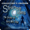 Igra Strange Cases: The Secrets of Grey Mist Lake Collector's Edition