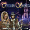 Igra Treasure Seekers: Follow the Ghosts Collector's Edition