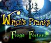 Igra Witch's Pranks: Frog's Fortune