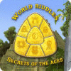 Igra World Riddles: Secrets of the Ages